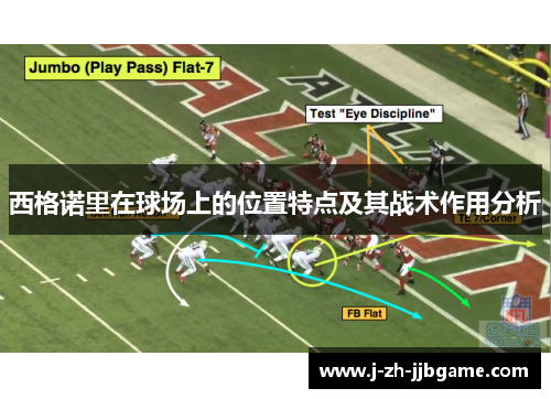 西格诺里在球场上的位置特点及其战术作用分析